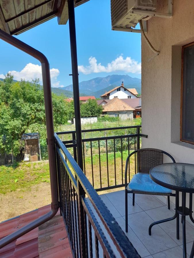Casa Zoe Seaca Villa Calimanesti Exterior photo