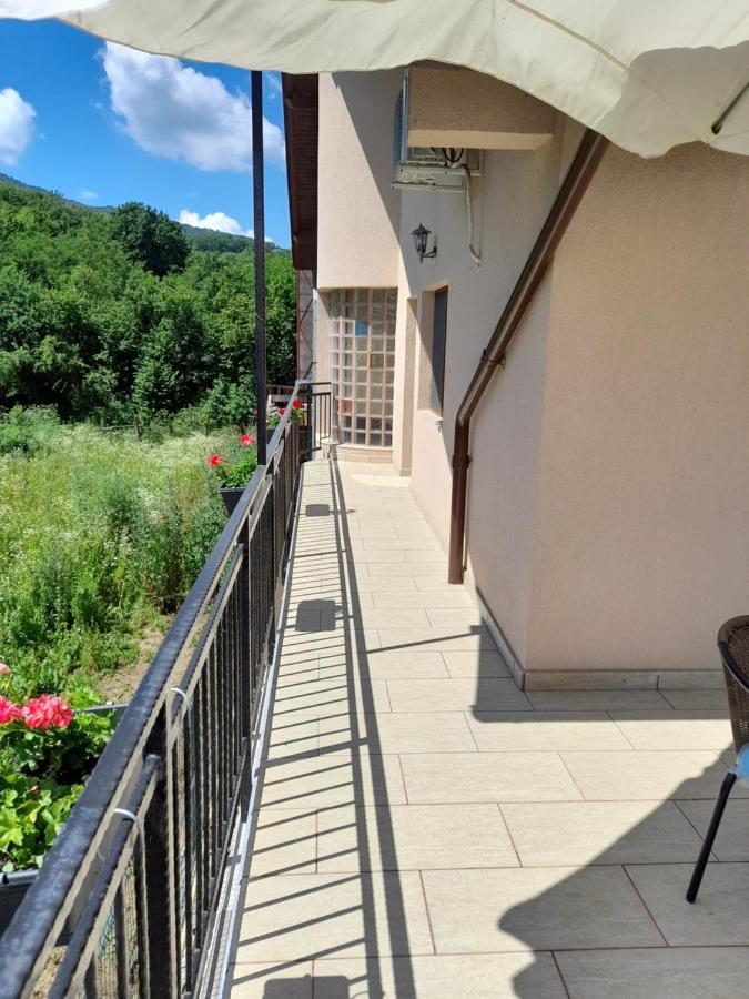 Casa Zoe Seaca Villa Calimanesti Exterior photo